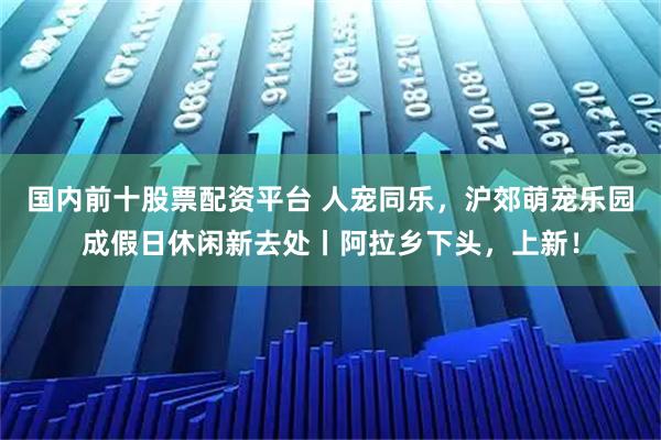 国内前十股票配资平台 人宠同乐，沪郊萌宠乐园成假日休闲新去处丨阿拉乡下头，上新！